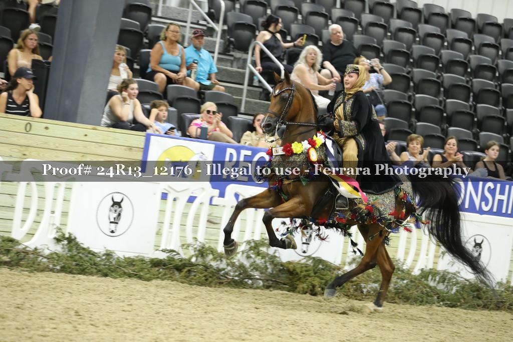 Proof 24R13_12176