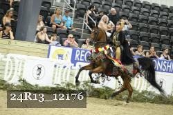 24R13_12176 proof