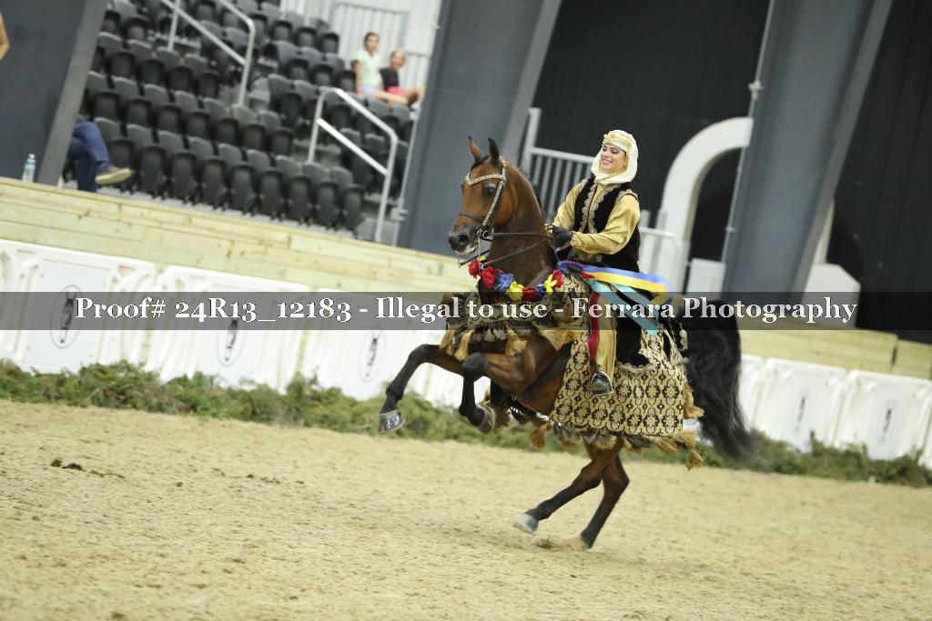 Proof 24R13_12183