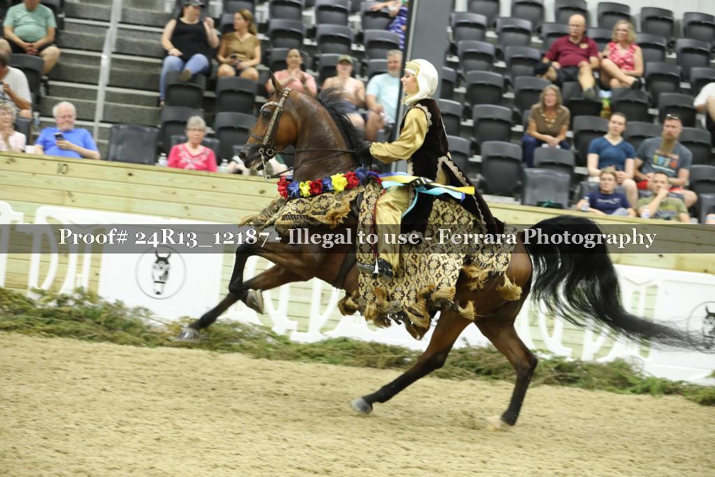 Proof 24R13_12187