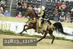 24R13_12187 proof