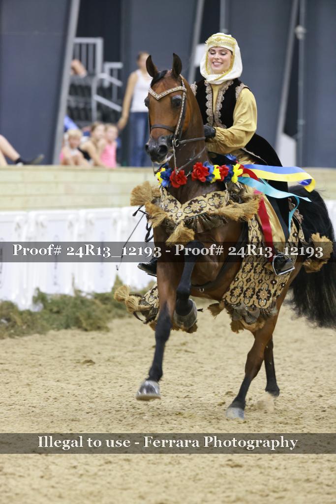 Proof 24R13_12193