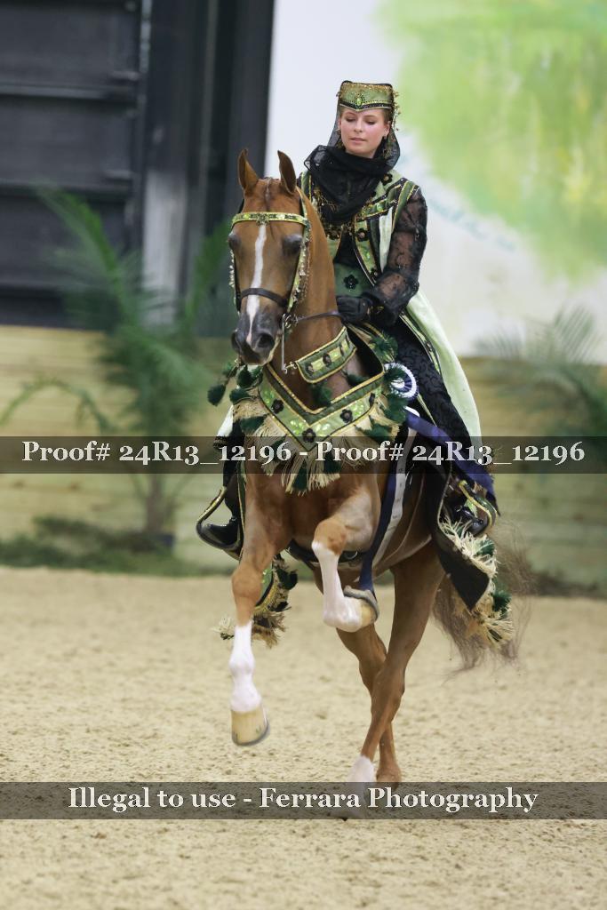 Proof 24R13_12196