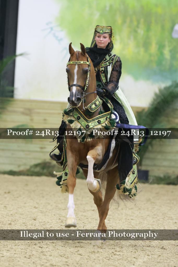 Proof 24R13_12197