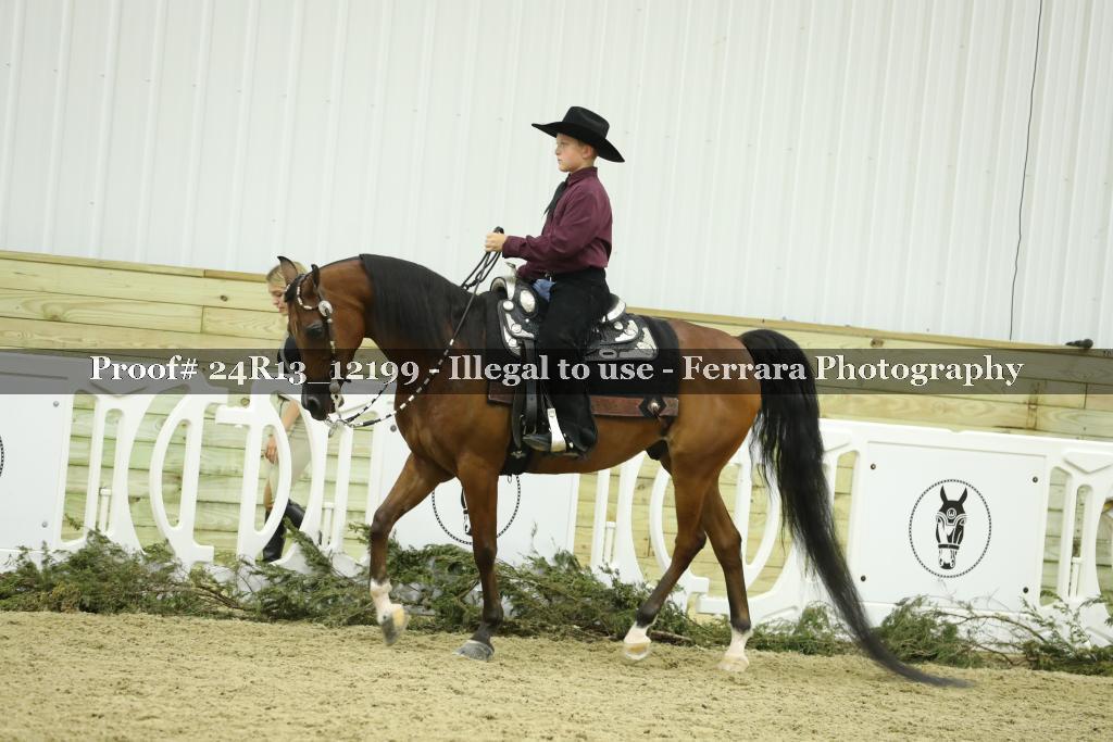 Proof 24R13_12199