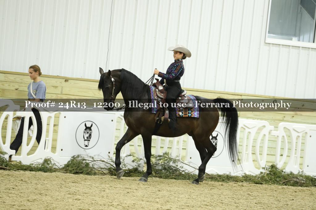 Proof 24R13_12200