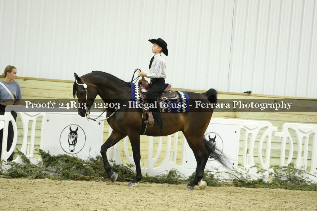Proof 24R13_12203