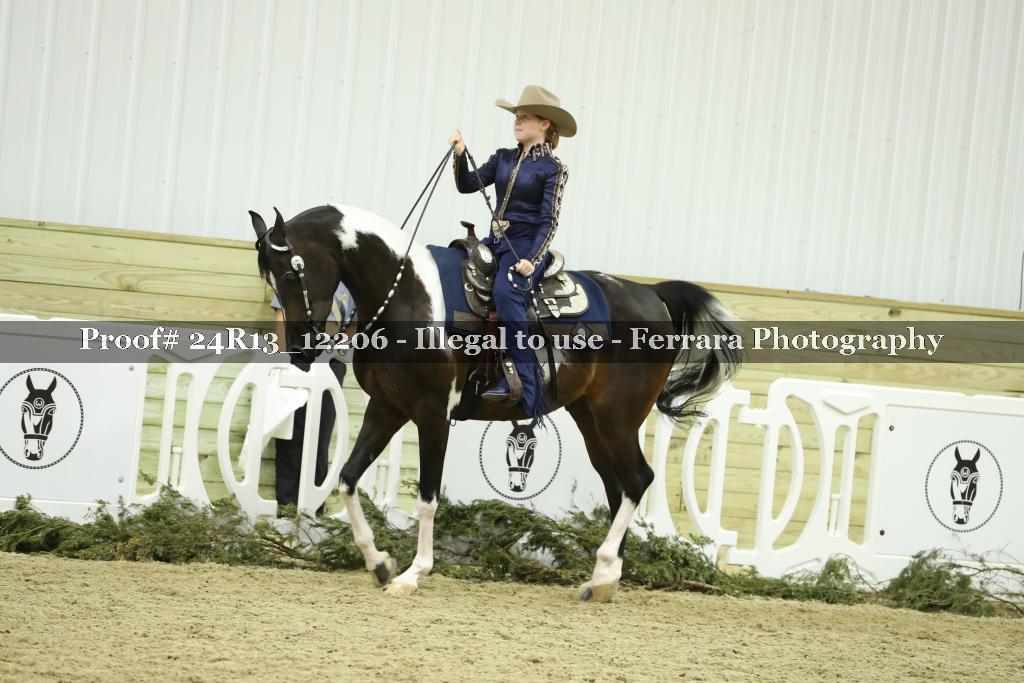 Proof 24R13_12206