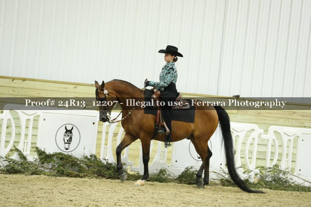 Proof 24R13_12207