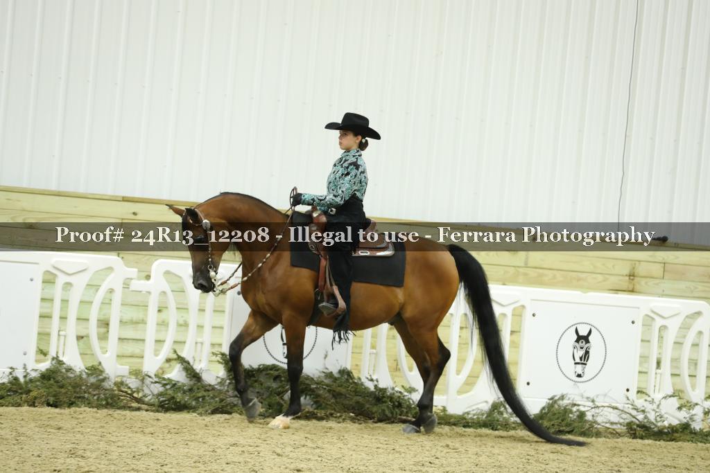 Proof 24R13_12208