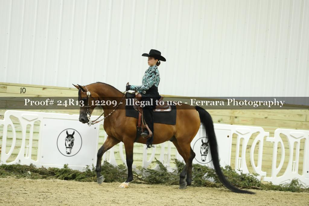 Proof 24R13_12209