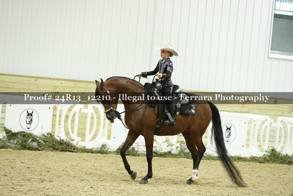 Proof 24R13_12210