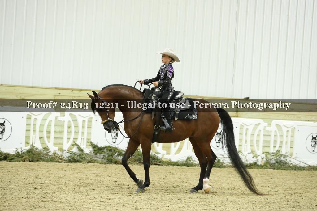Proof 24R13_12211