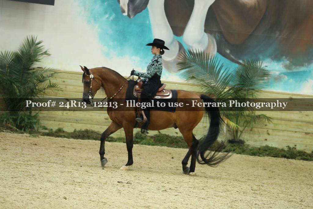 Proof 24R13_12213