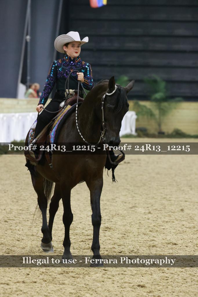 Proof 24R13_12215