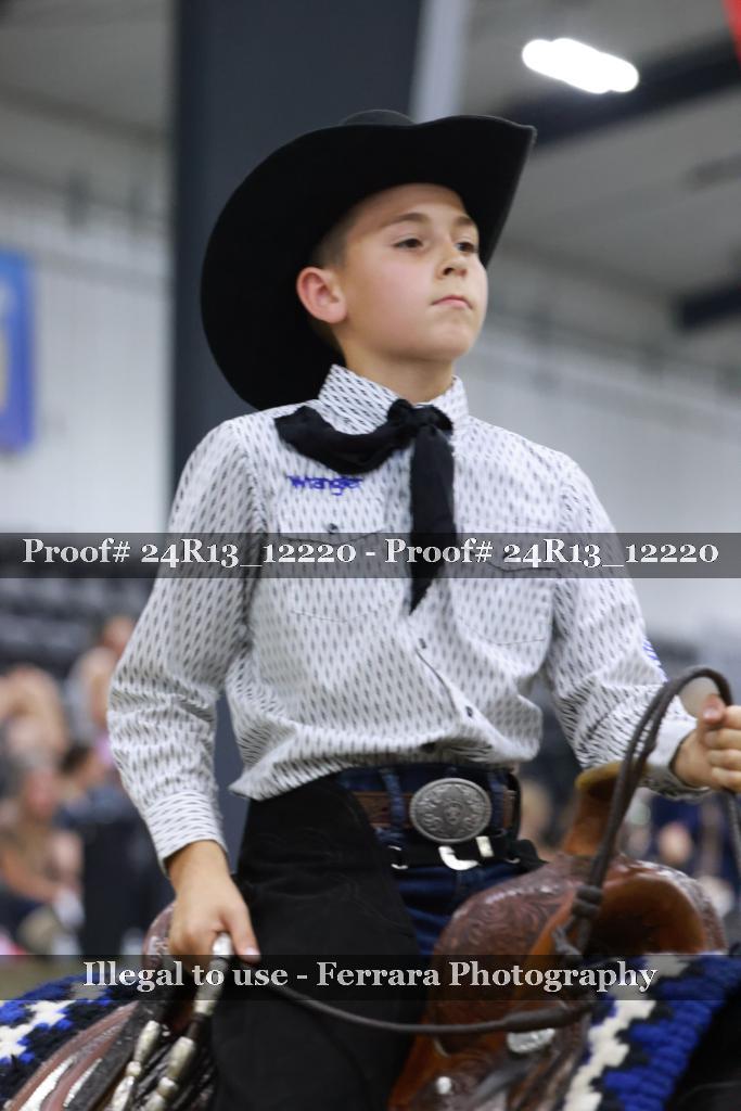Proof 24R13_12220