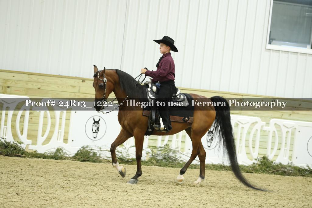 Proof 24R13_12227