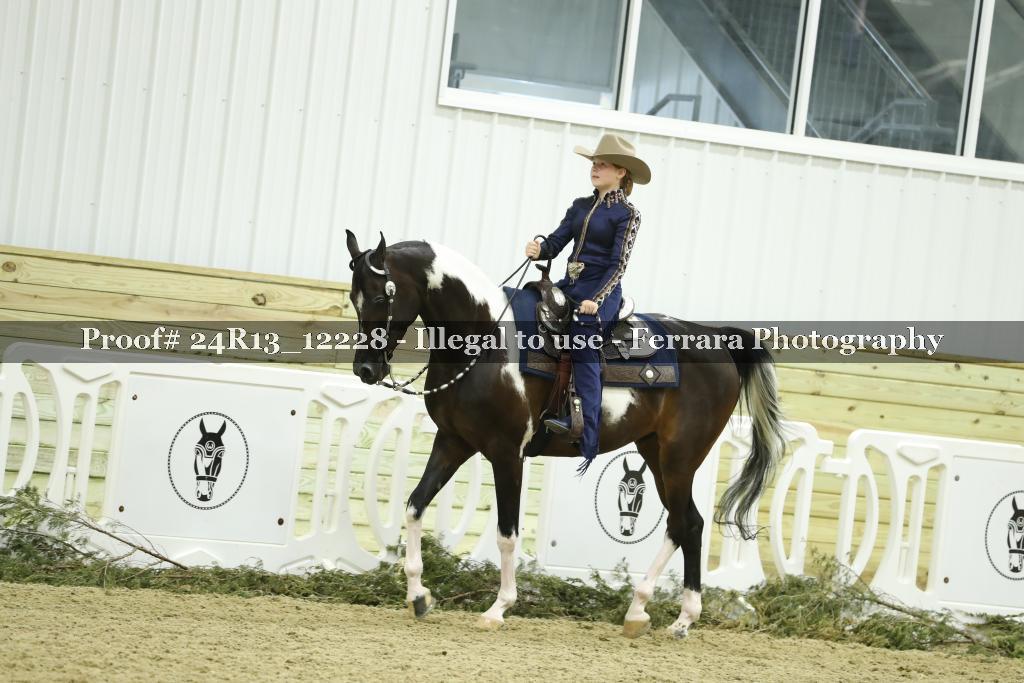 Proof 24R13_12228