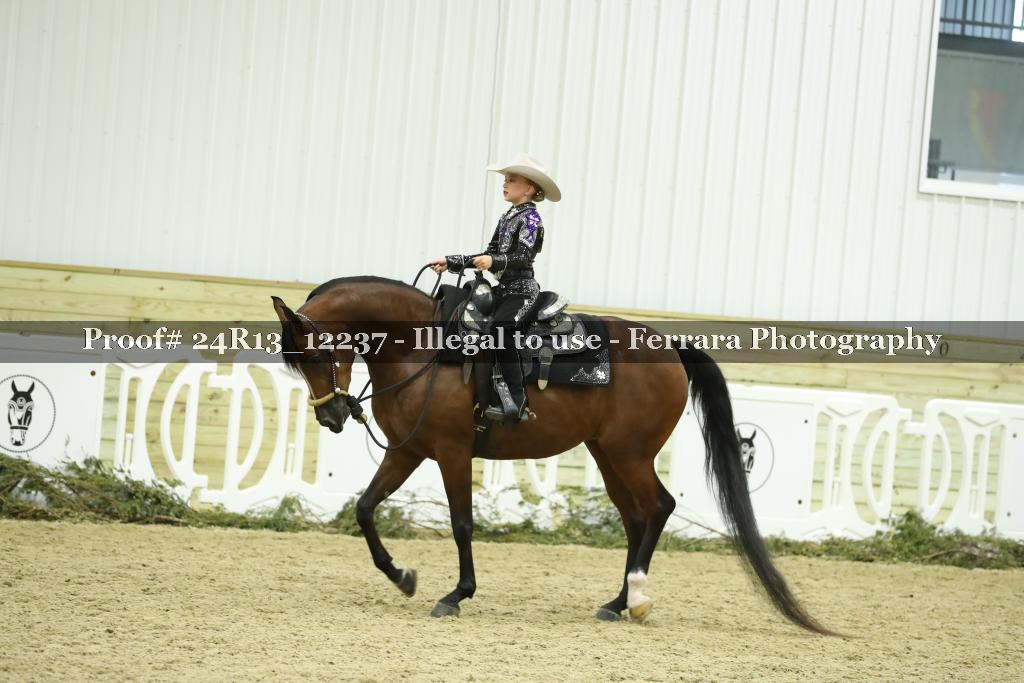 Proof 24R13_12237