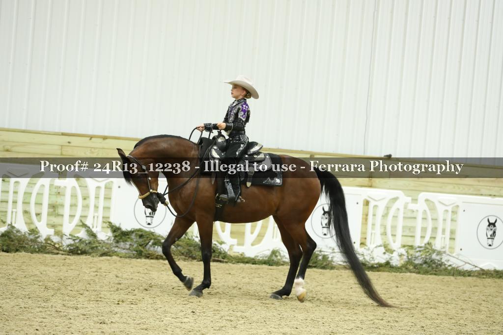 Proof 24R13_12238