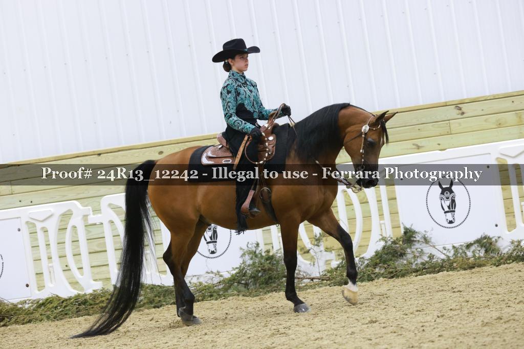 Proof 24R13_12242