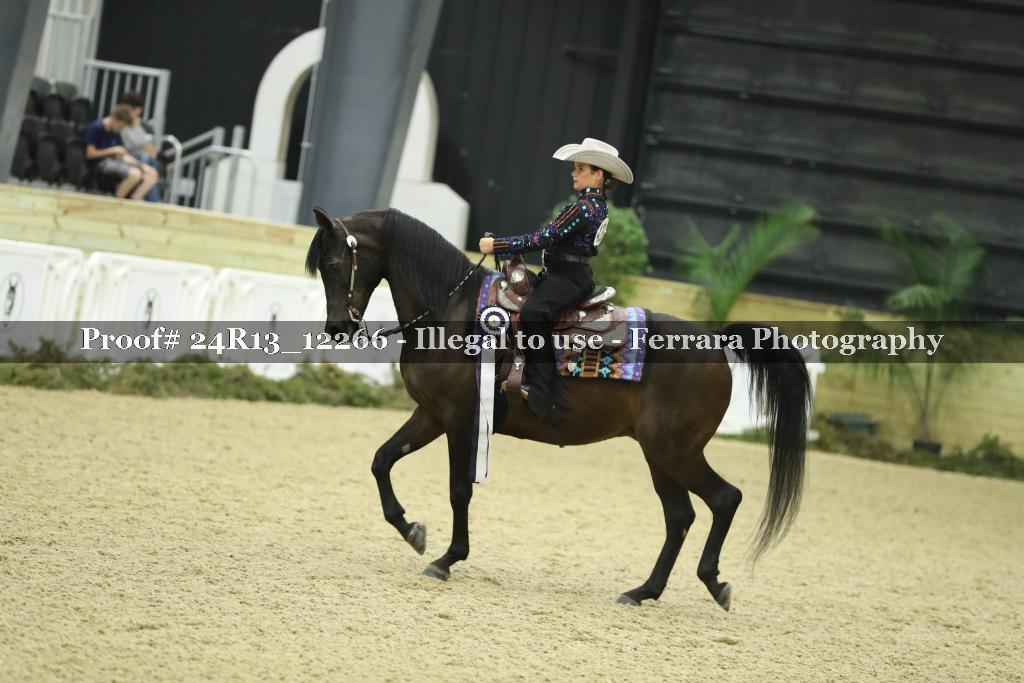 Proof 24R13_12266