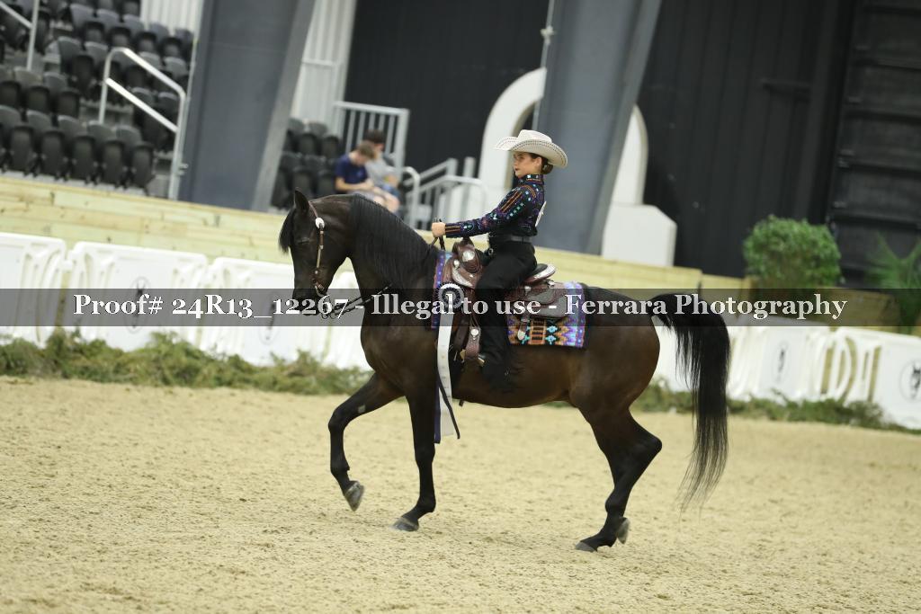 Proof 24R13_12267