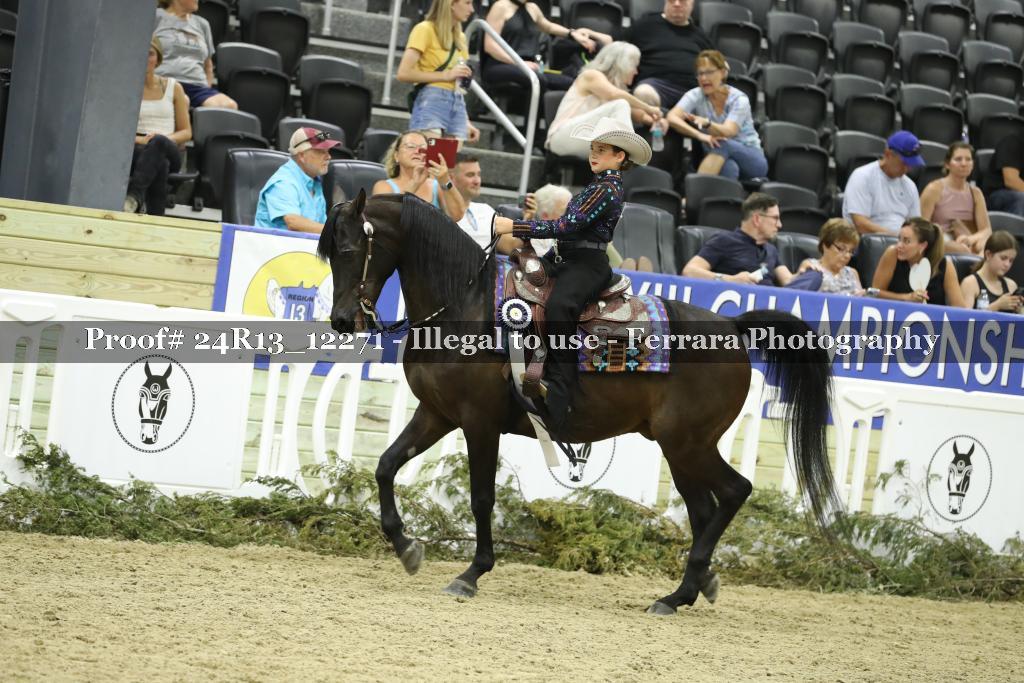 Proof 24R13_12271