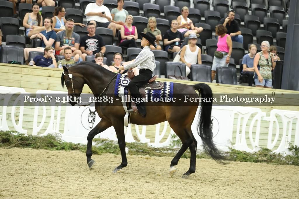 Proof 24R13_12283