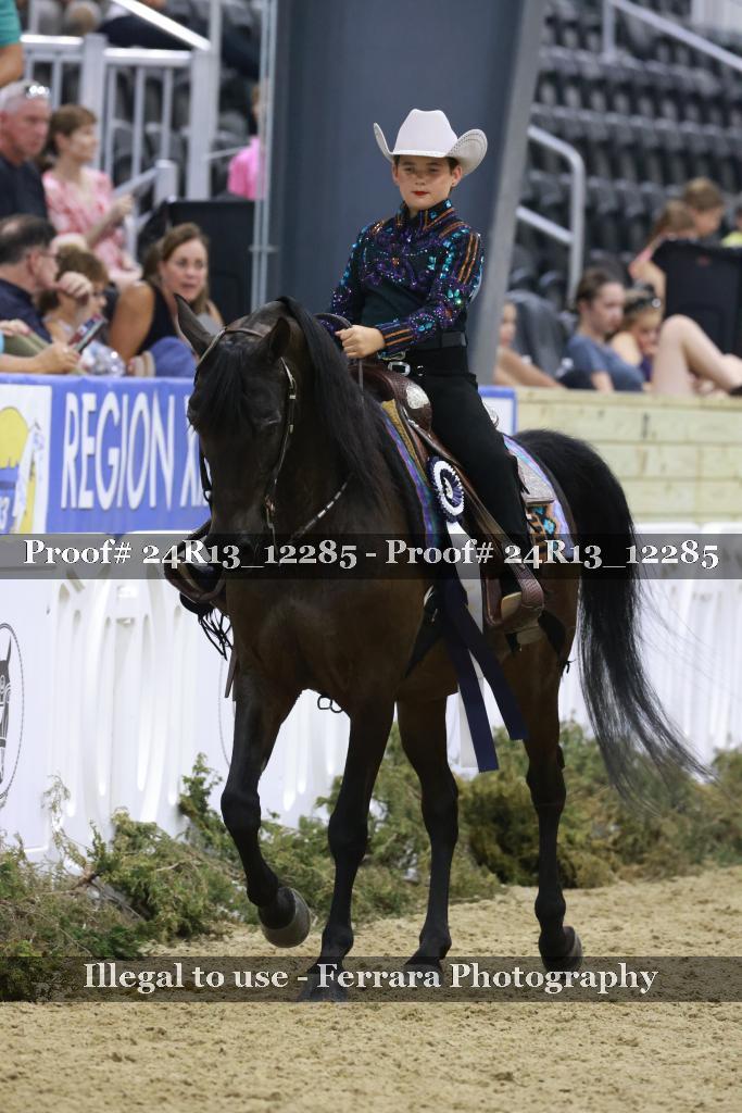 Proof 24R13_12285