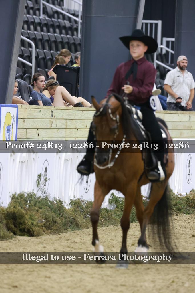 Proof 24R13_12286