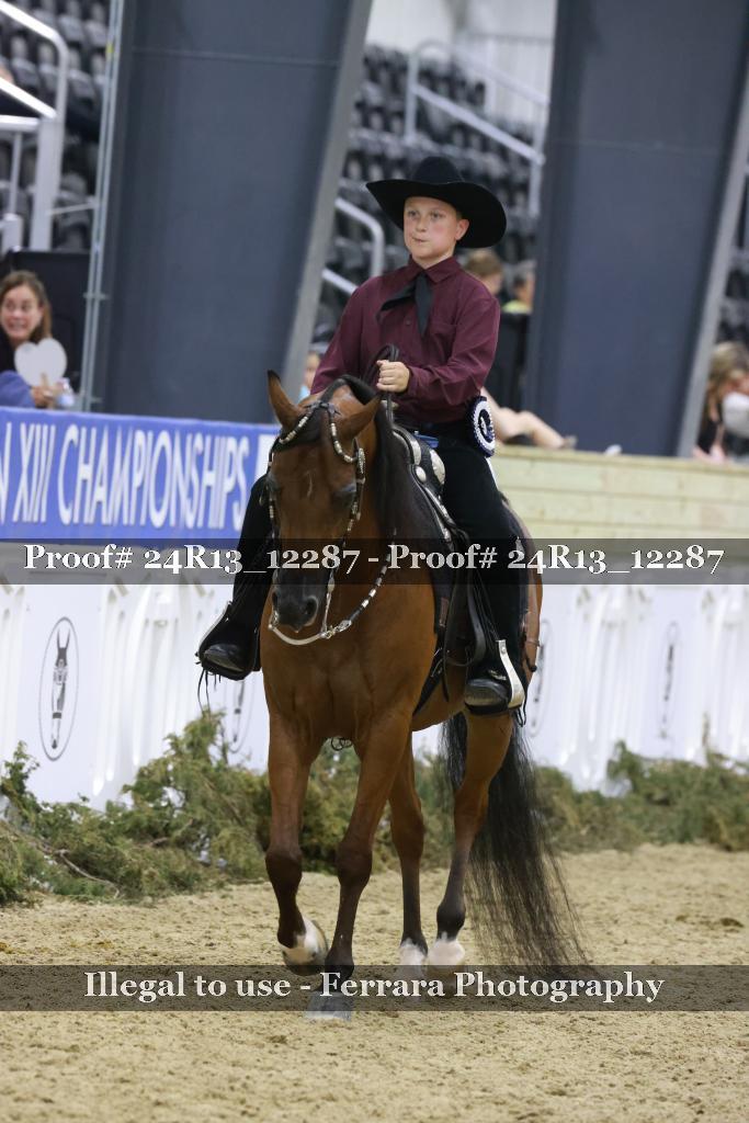 Proof 24R13_12287