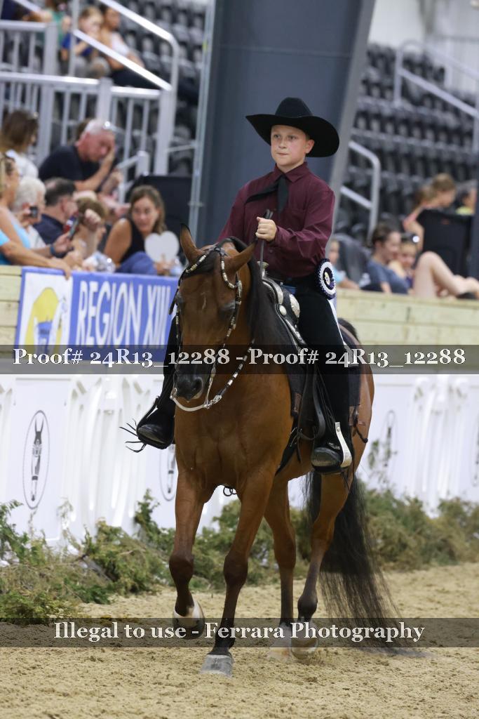 Proof 24R13_12288