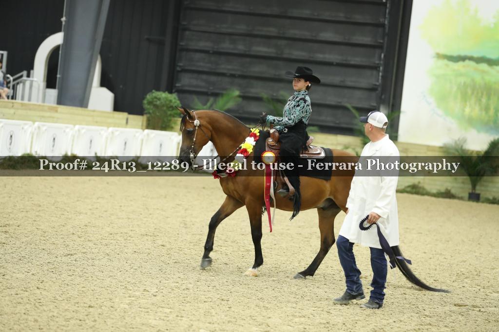 Proof 24R13_12289