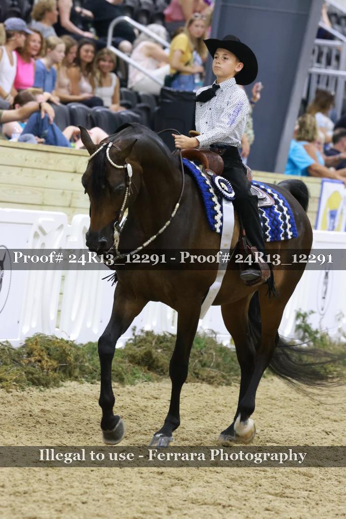 Proof 24R13_12291