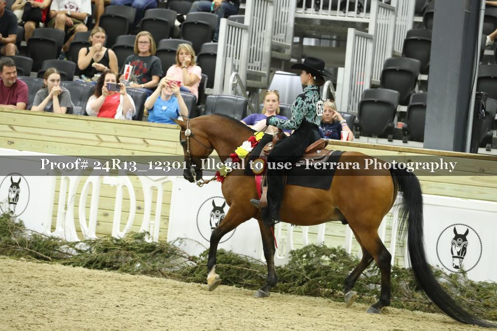Proof 24R13_12301