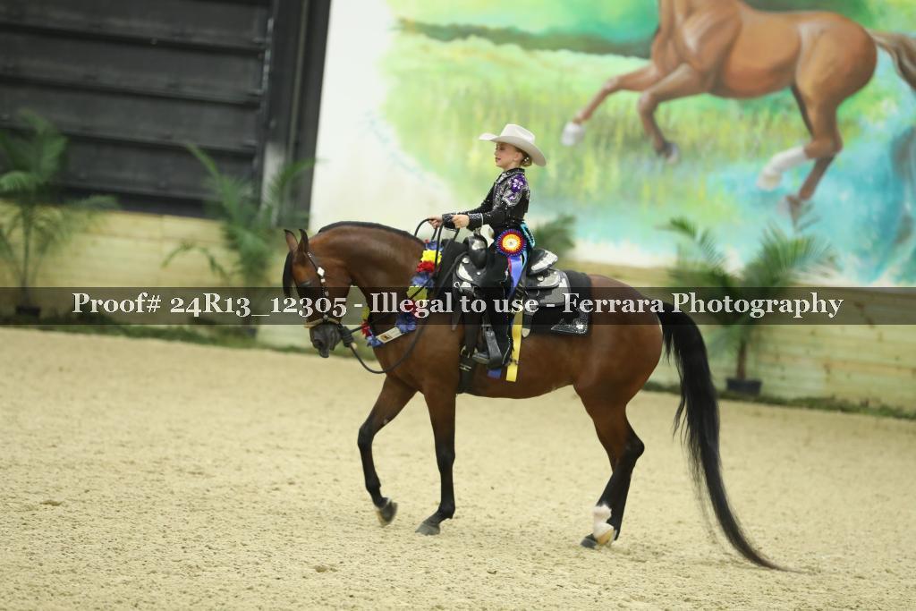 Proof 24R13_12305