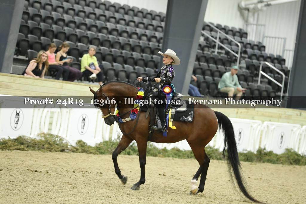 Proof 24R13_12306