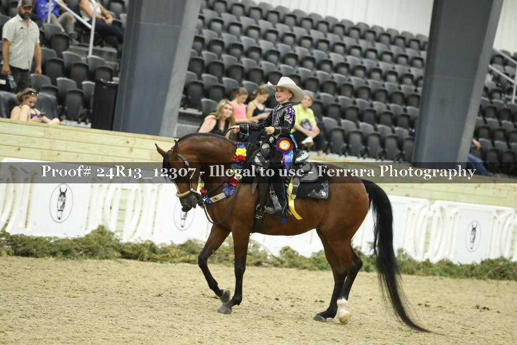 Proof 24R13_12307