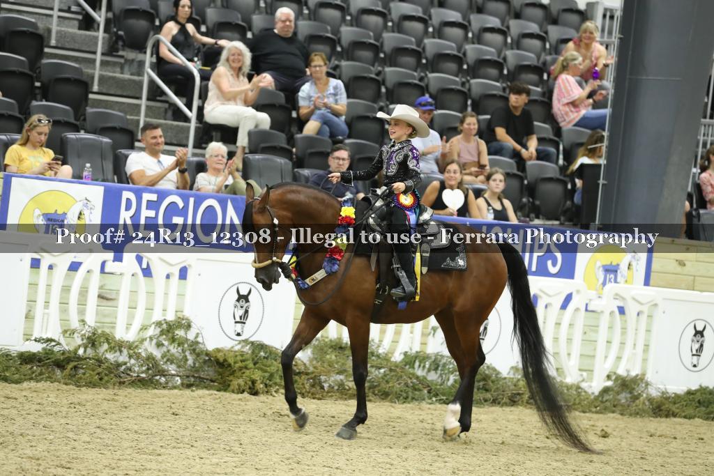 Proof 24R13_12308