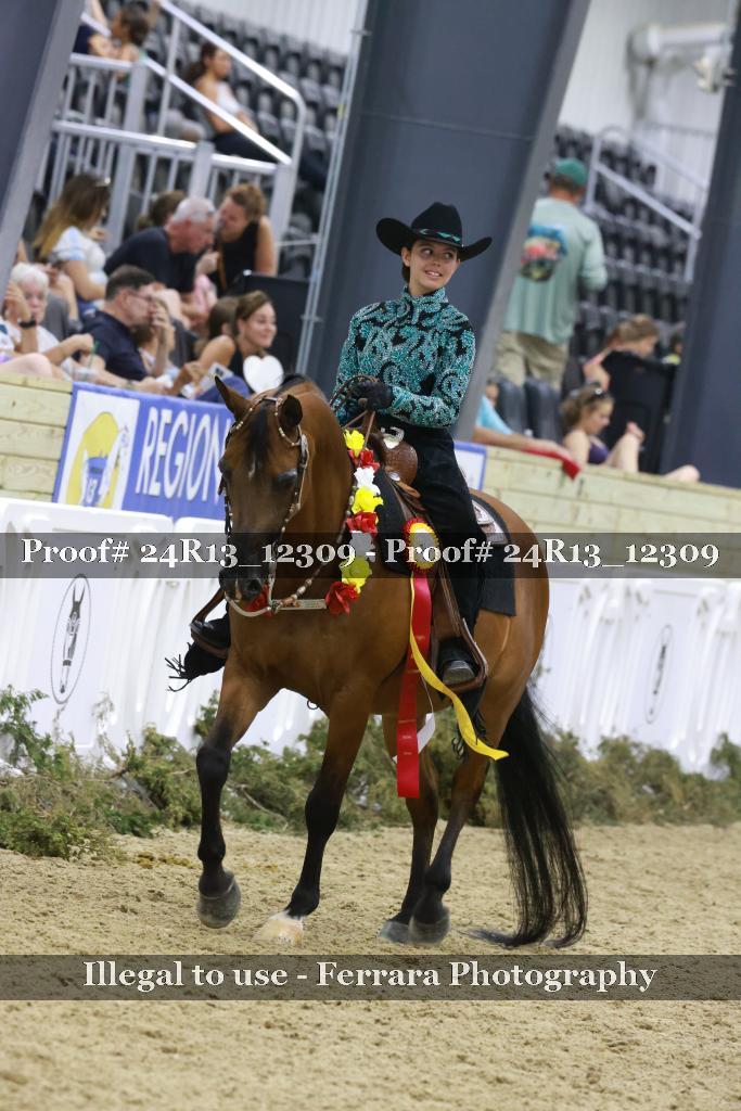 Proof 24R13_12309