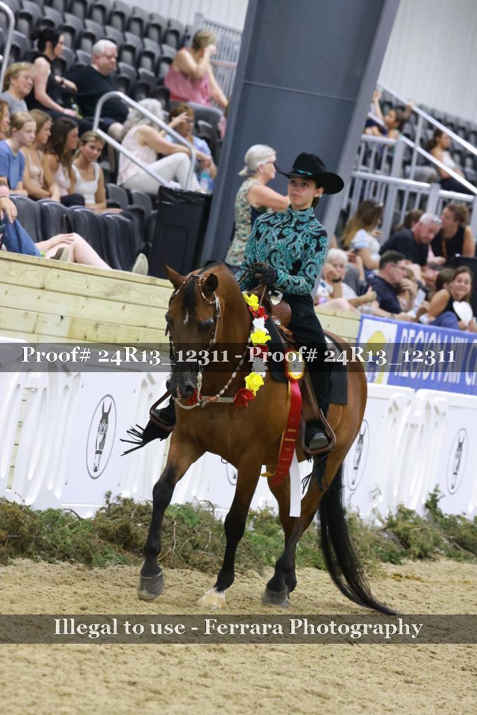 Proof 24R13_12311