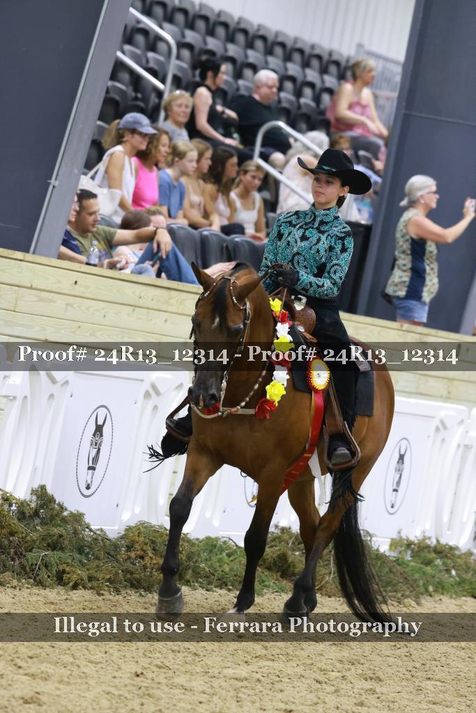 Proof 24R13_12314