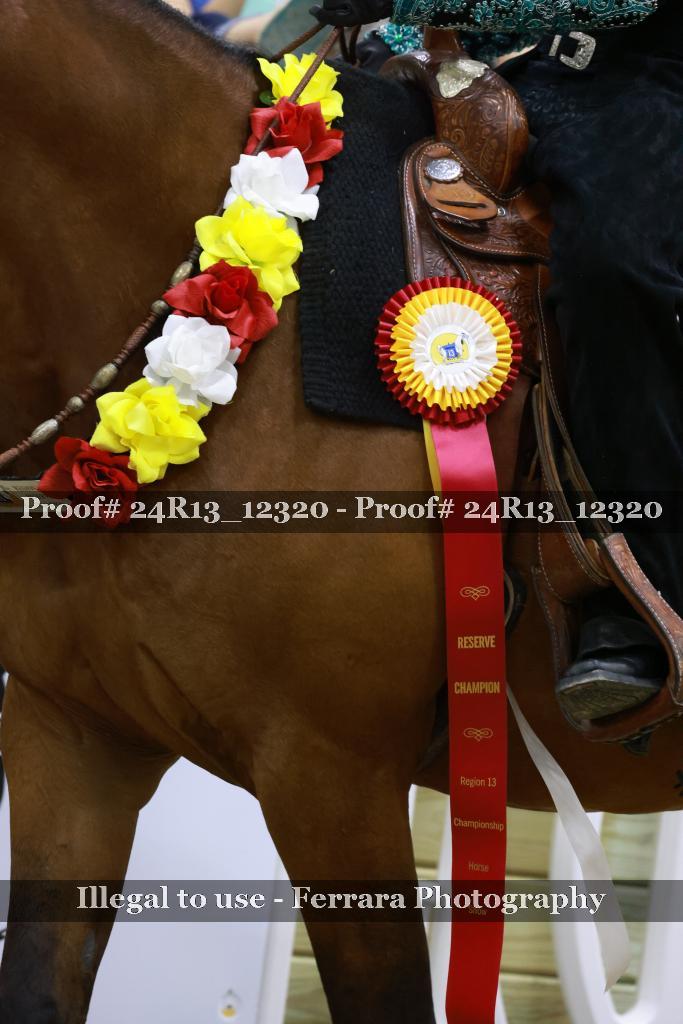 Proof 24R13_12320