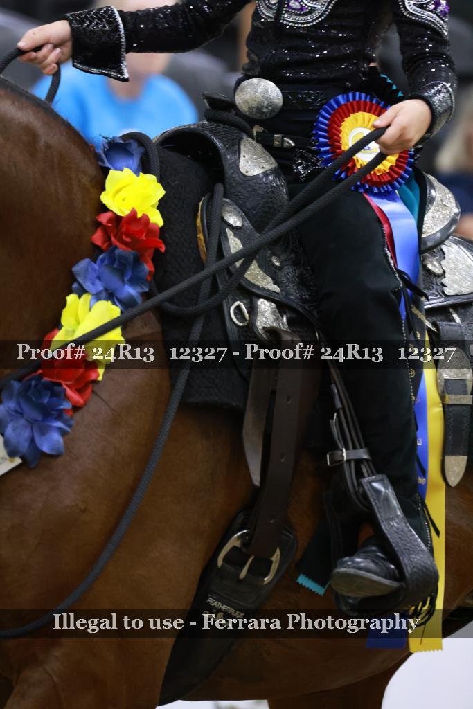 Proof 24R13_12327