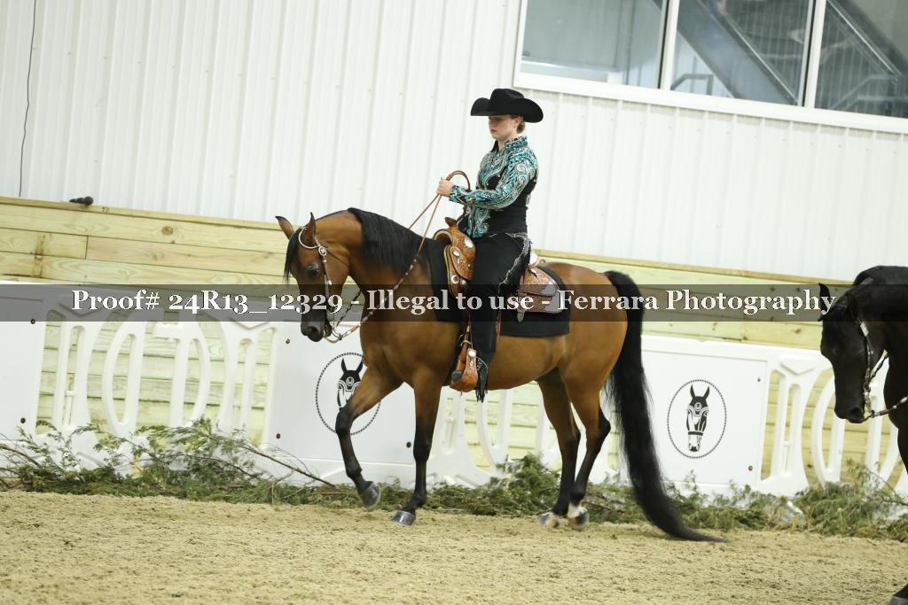 Proof 24R13_12329