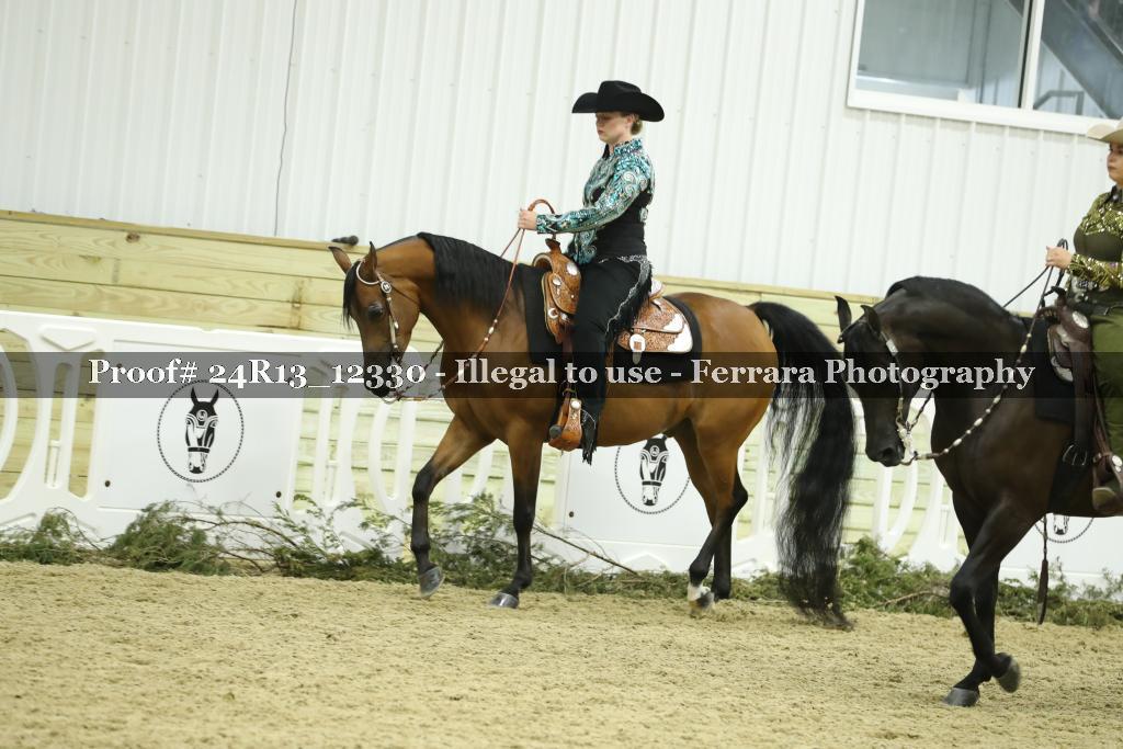 Proof 24R13_12330