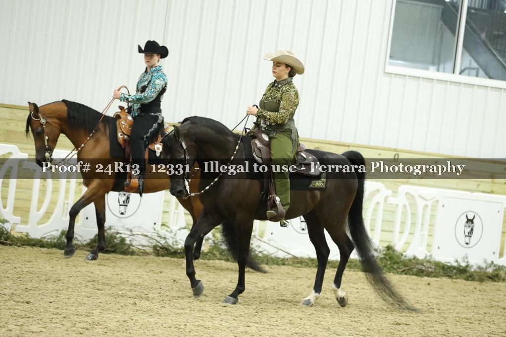 Proof 24R13_12331
