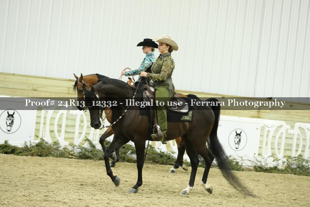 Proof 24R13_12332