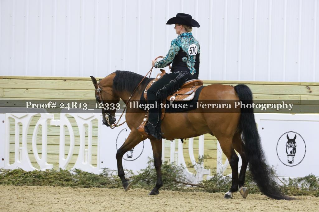 Proof 24R13_12333